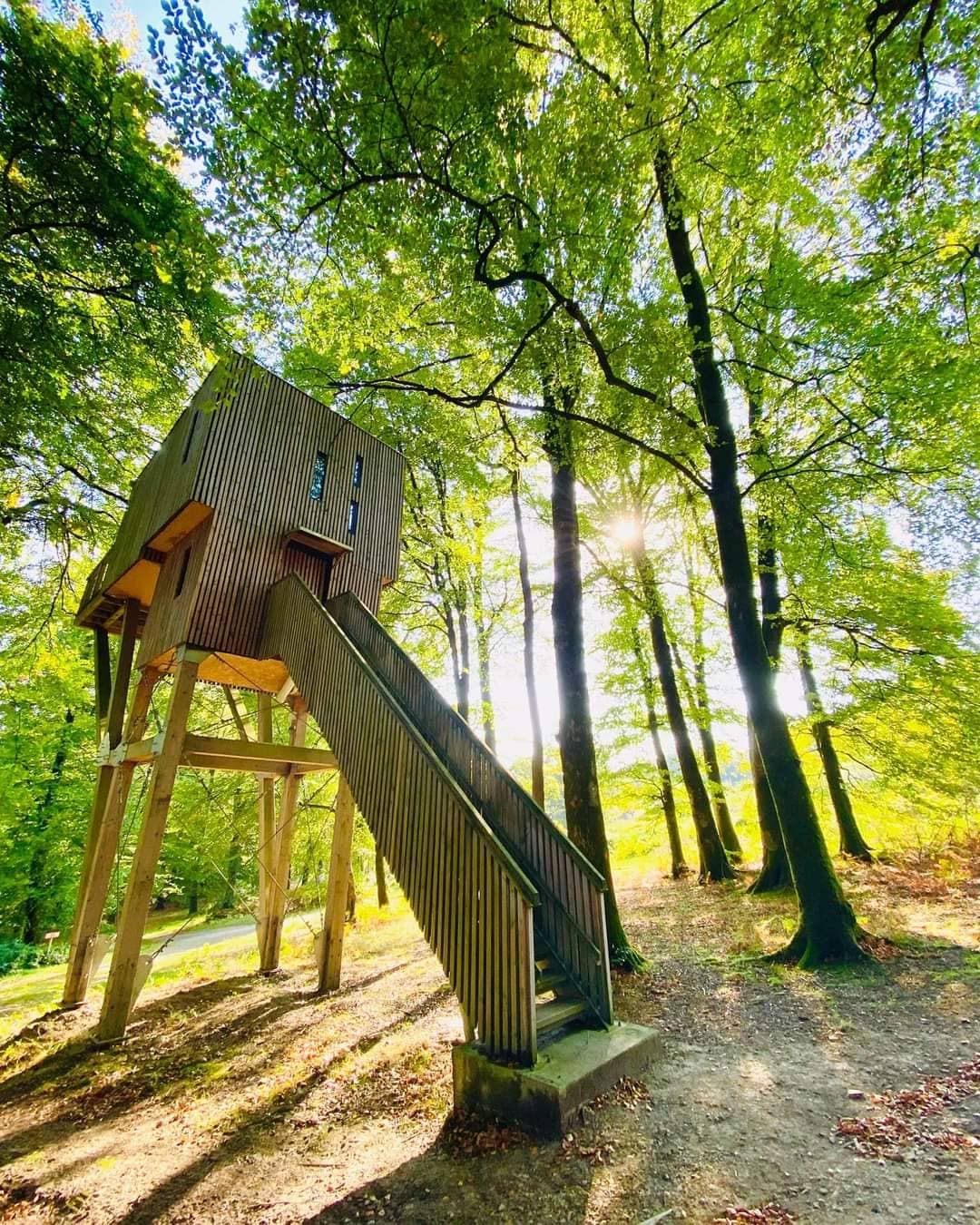 Étape en Forêt 14
