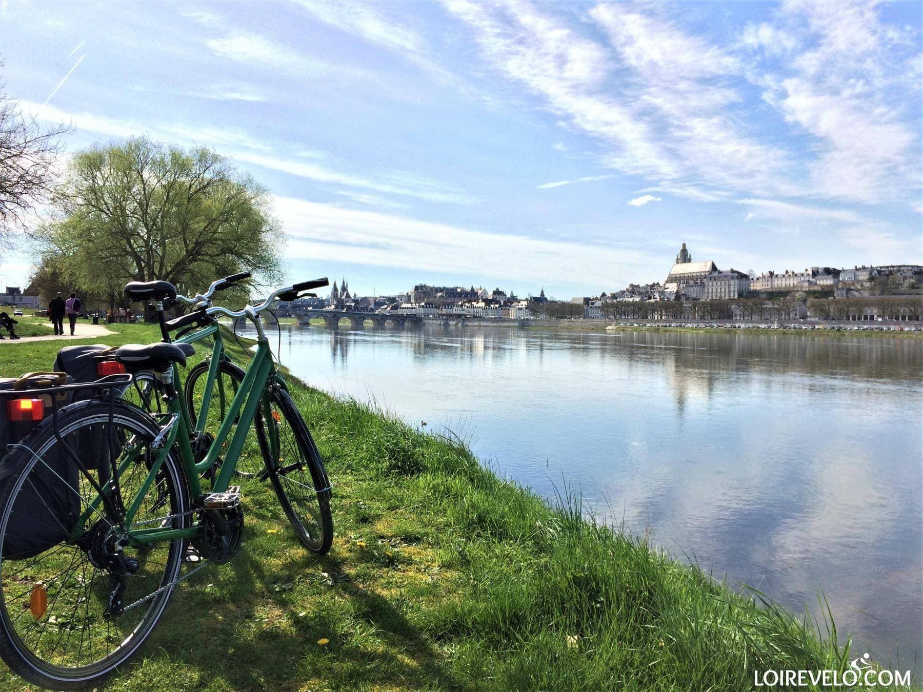 Les vélos verts 1
