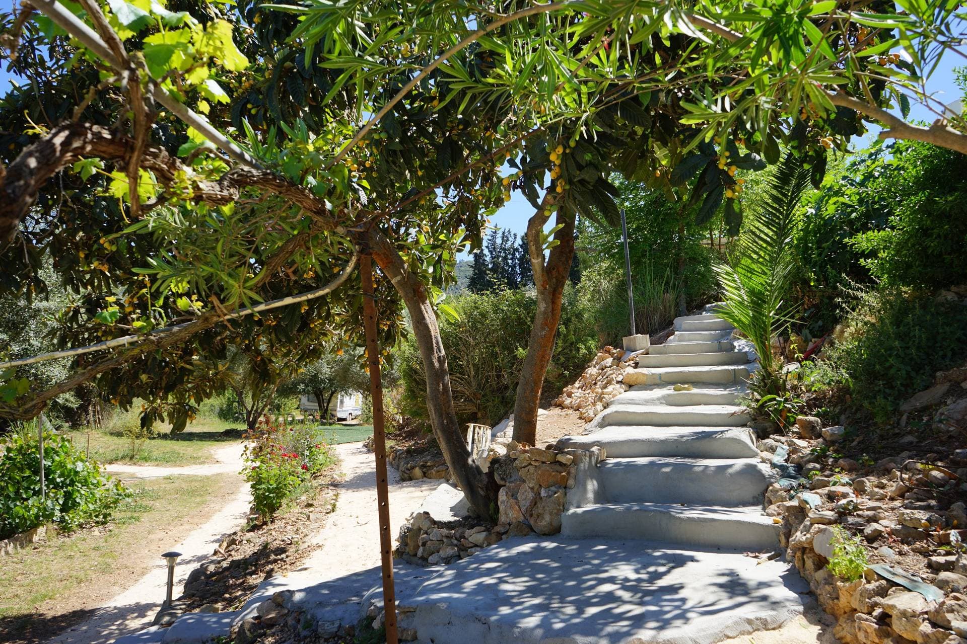 Finca Abogat 14