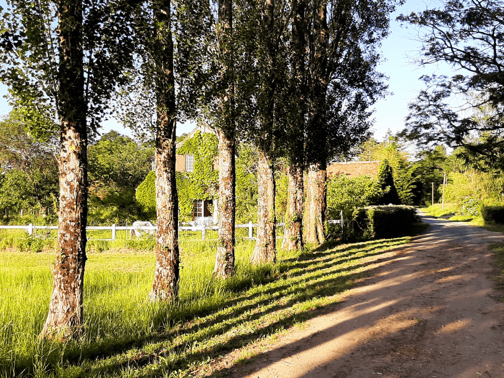 Longère familiale 21