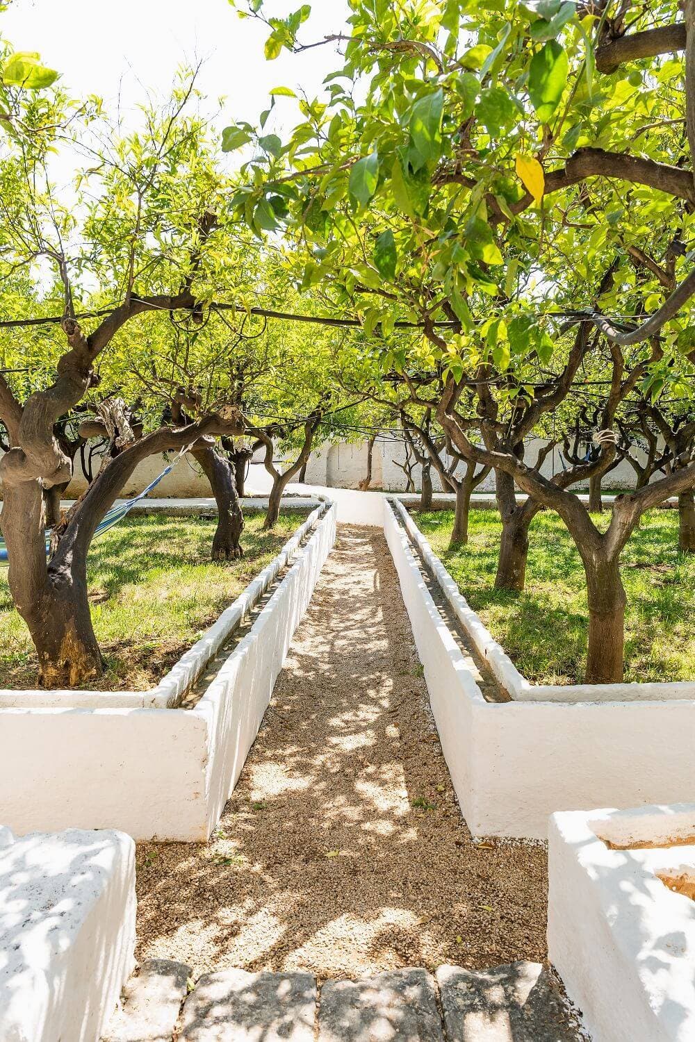 Masseria Mozzone 34