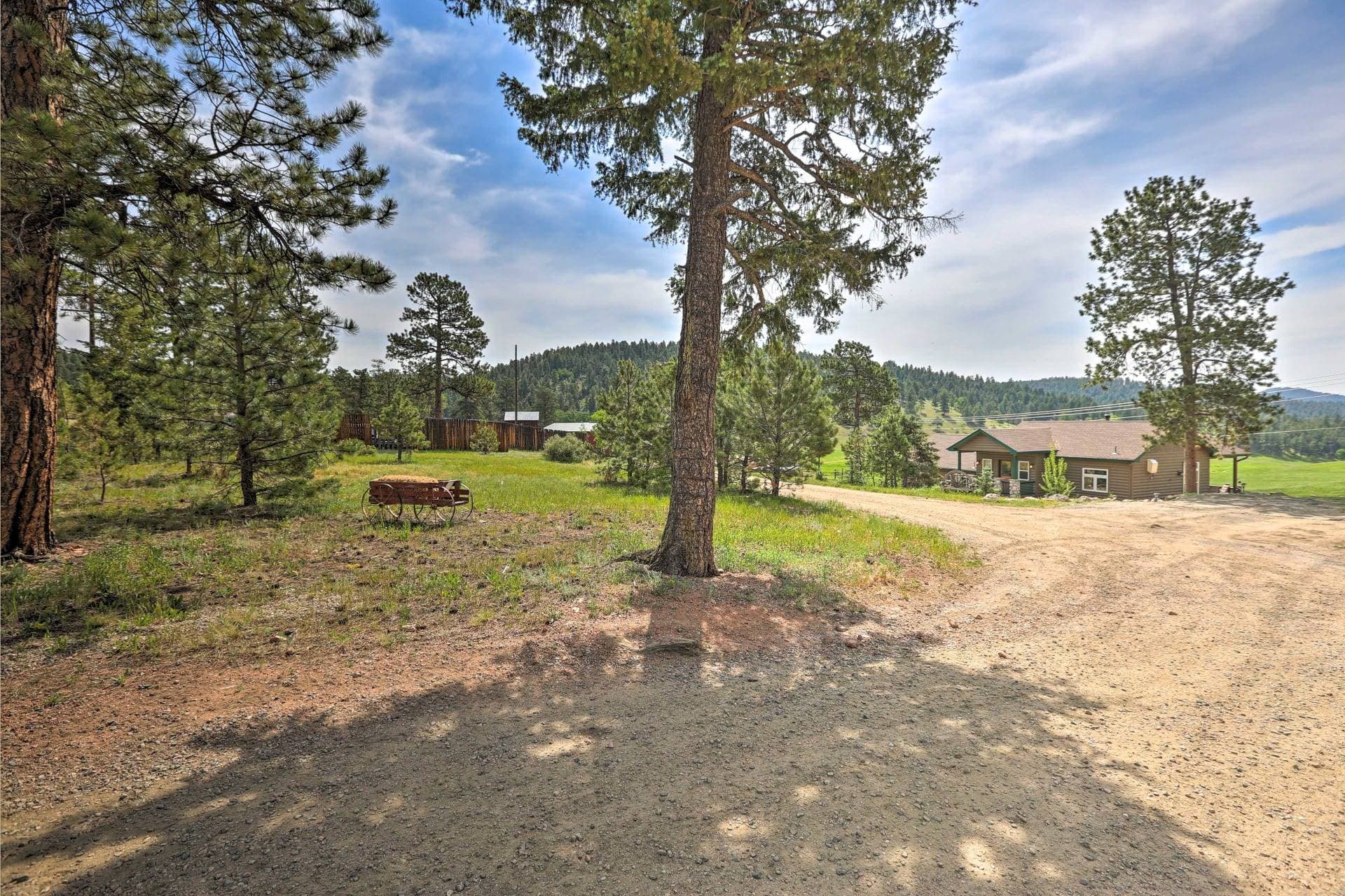 Conifer Ranch 24