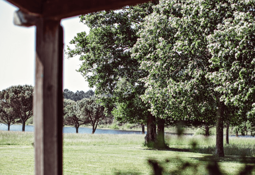 Le Domaine de la Trigalière 34