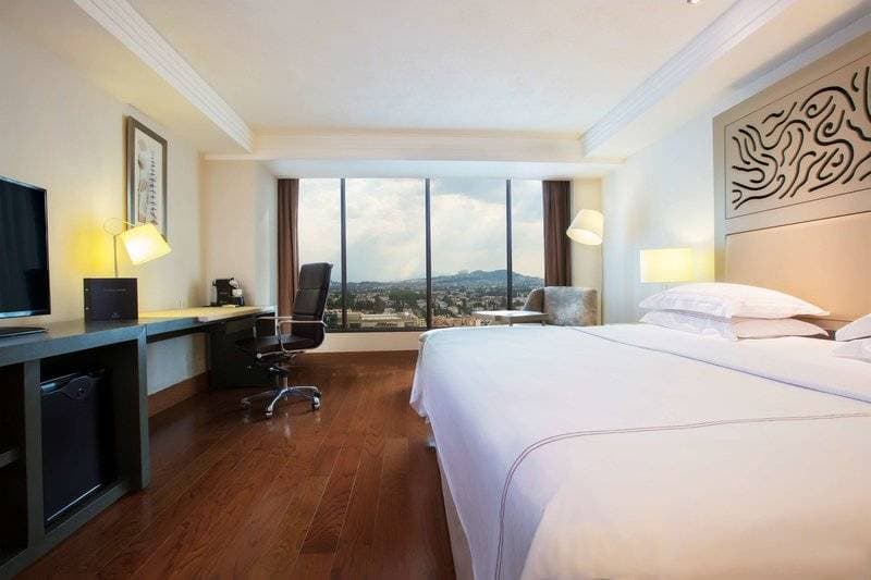 Barcelo Guadalajara 16