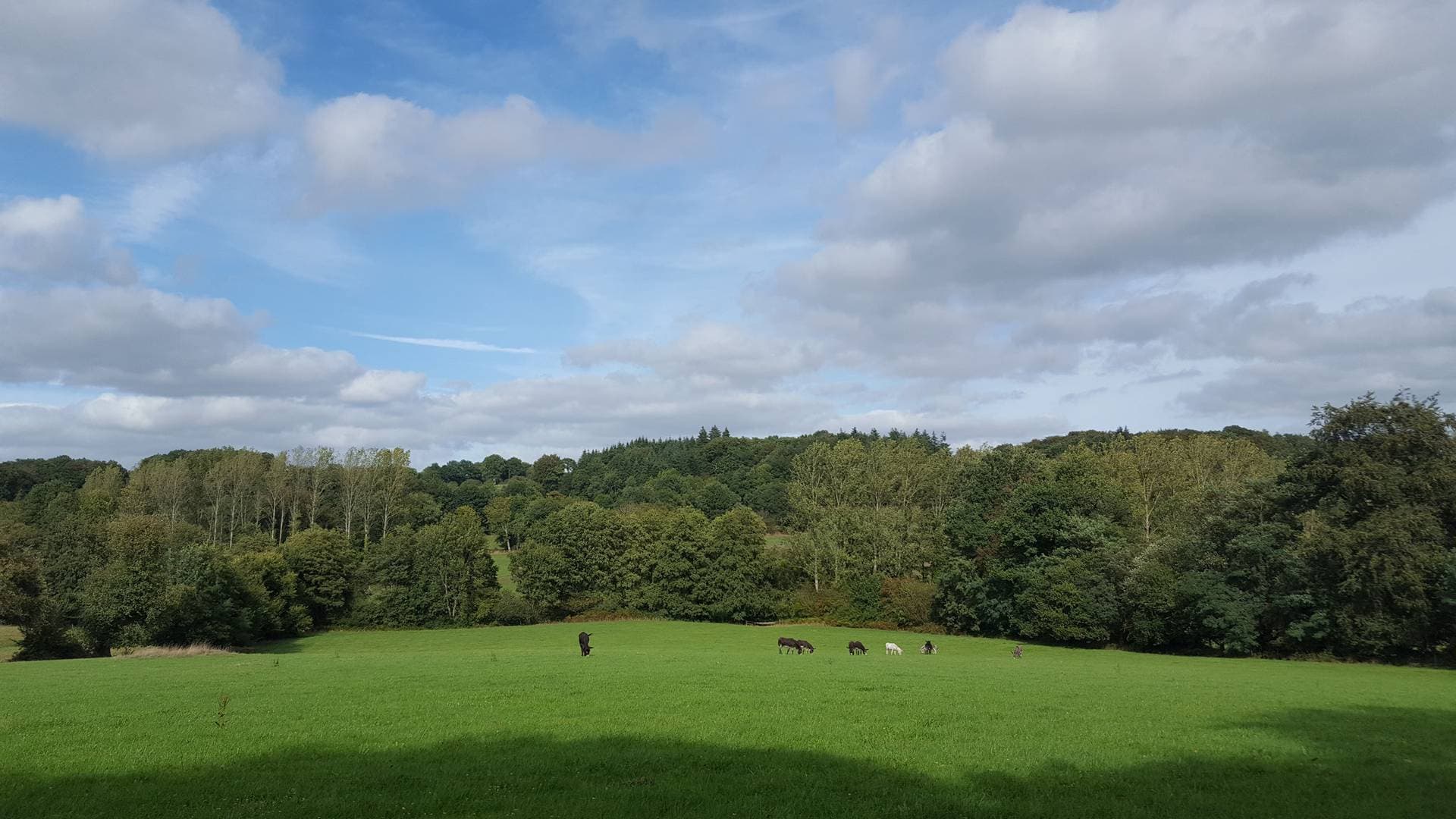 Le Domaine de la Boderie 26