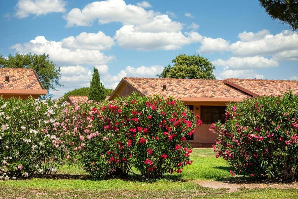 Gitavillage California 3