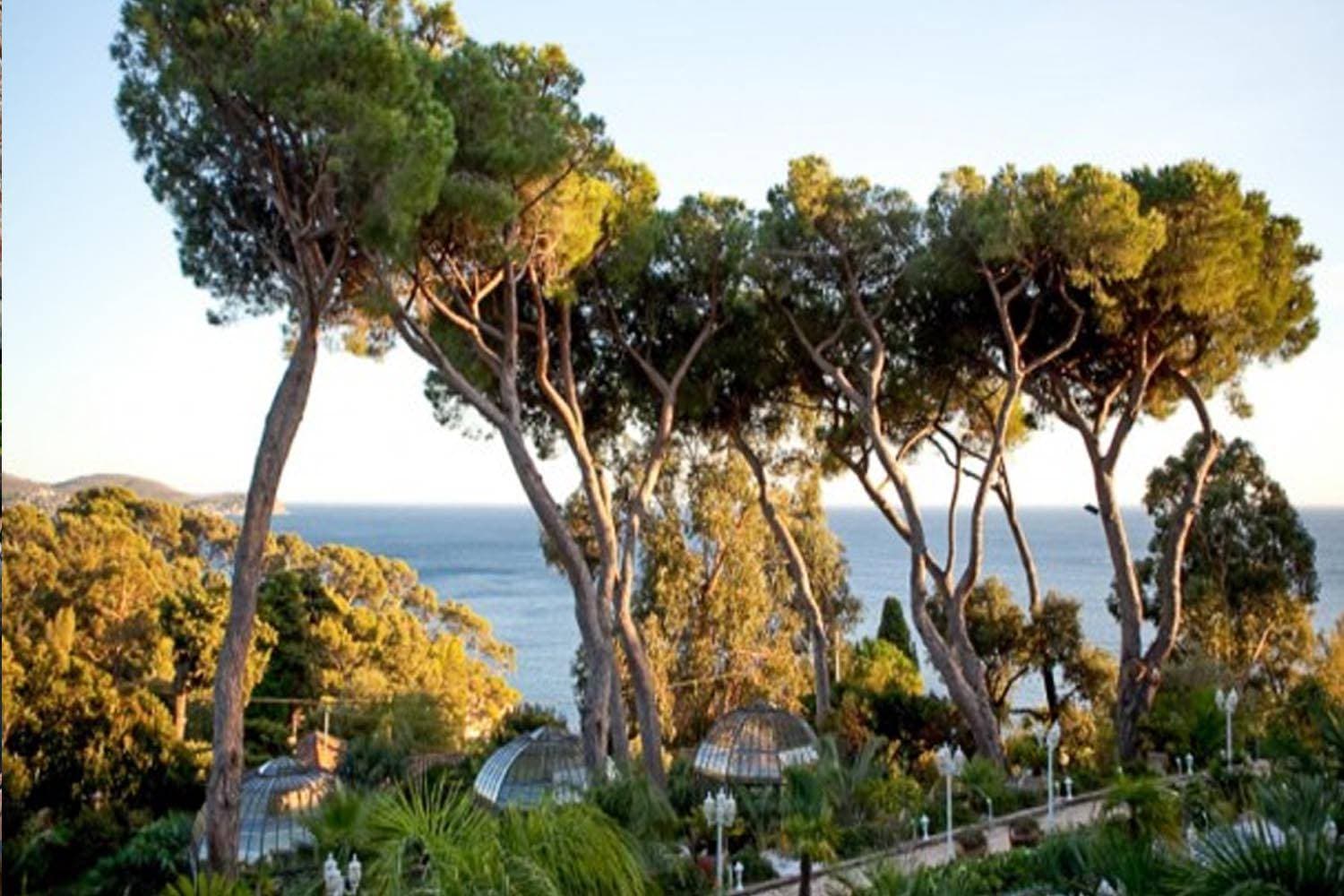 Les Pins Penchés 10