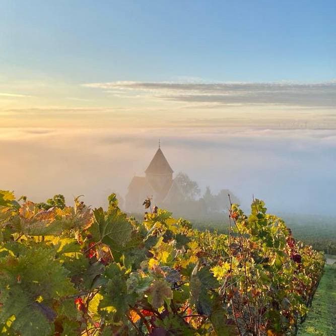 Hofgut Wißberg – Das Weinberghotel 26