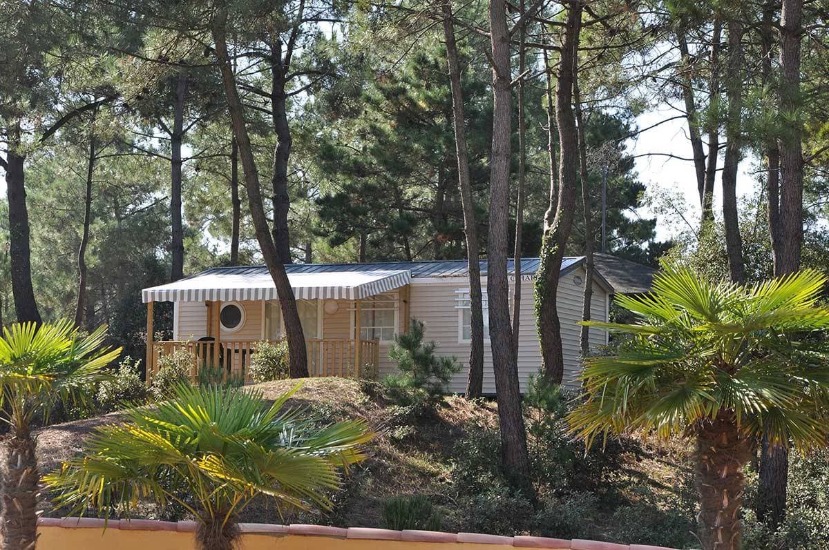 Le Domaine des Pins 12
