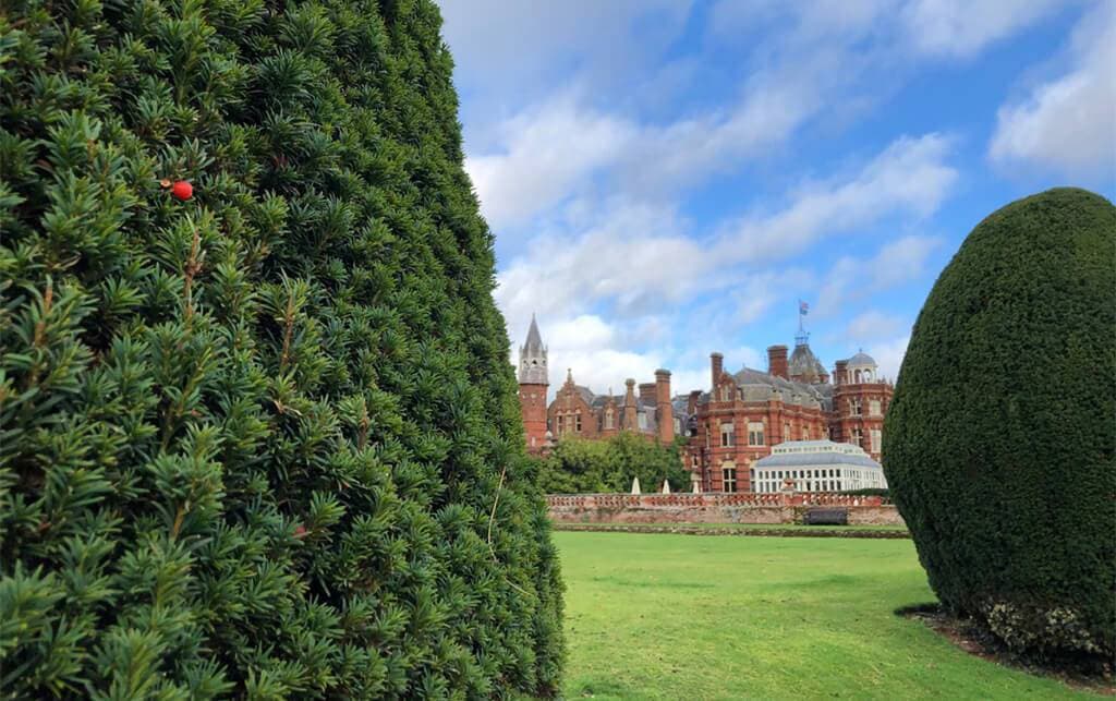 The Elvetham 14