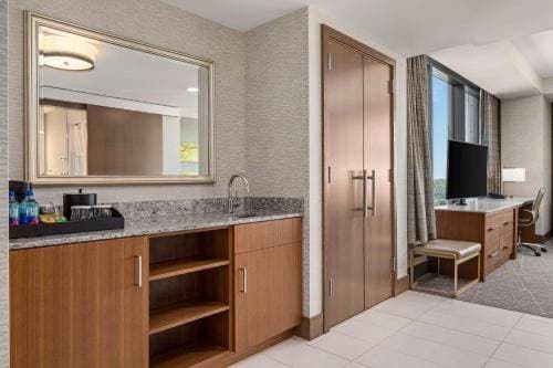 Hilton Rochester Mayo Clinic Area 14