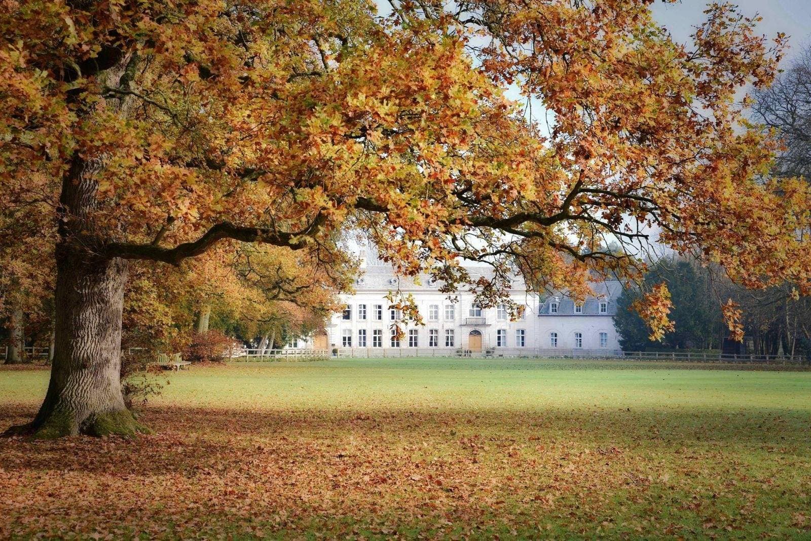Le Château de Cocove 1