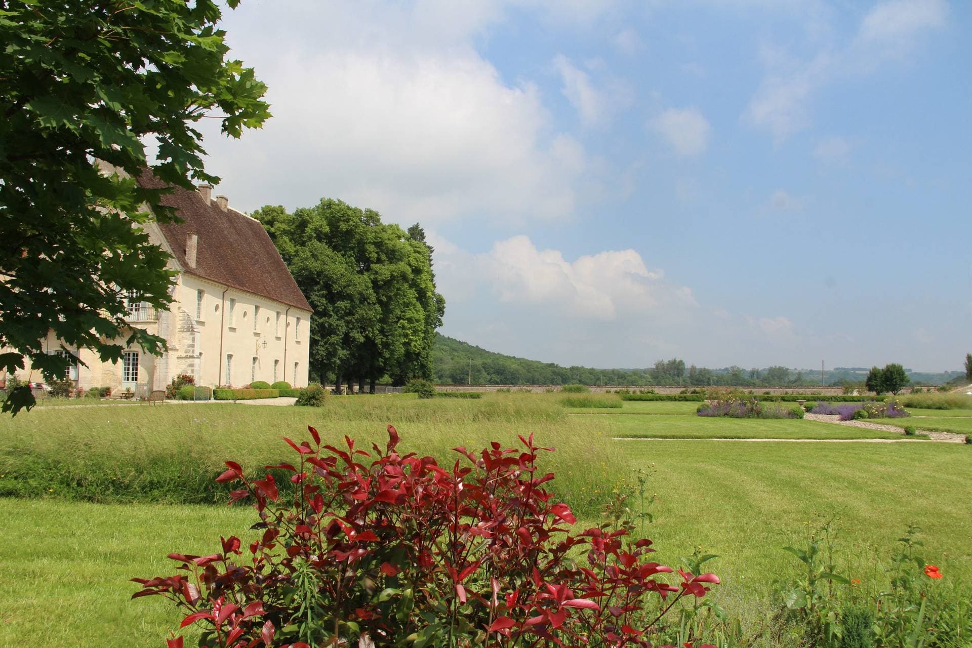 L'Abbaye de Reigny et le logis Saint-François 6
