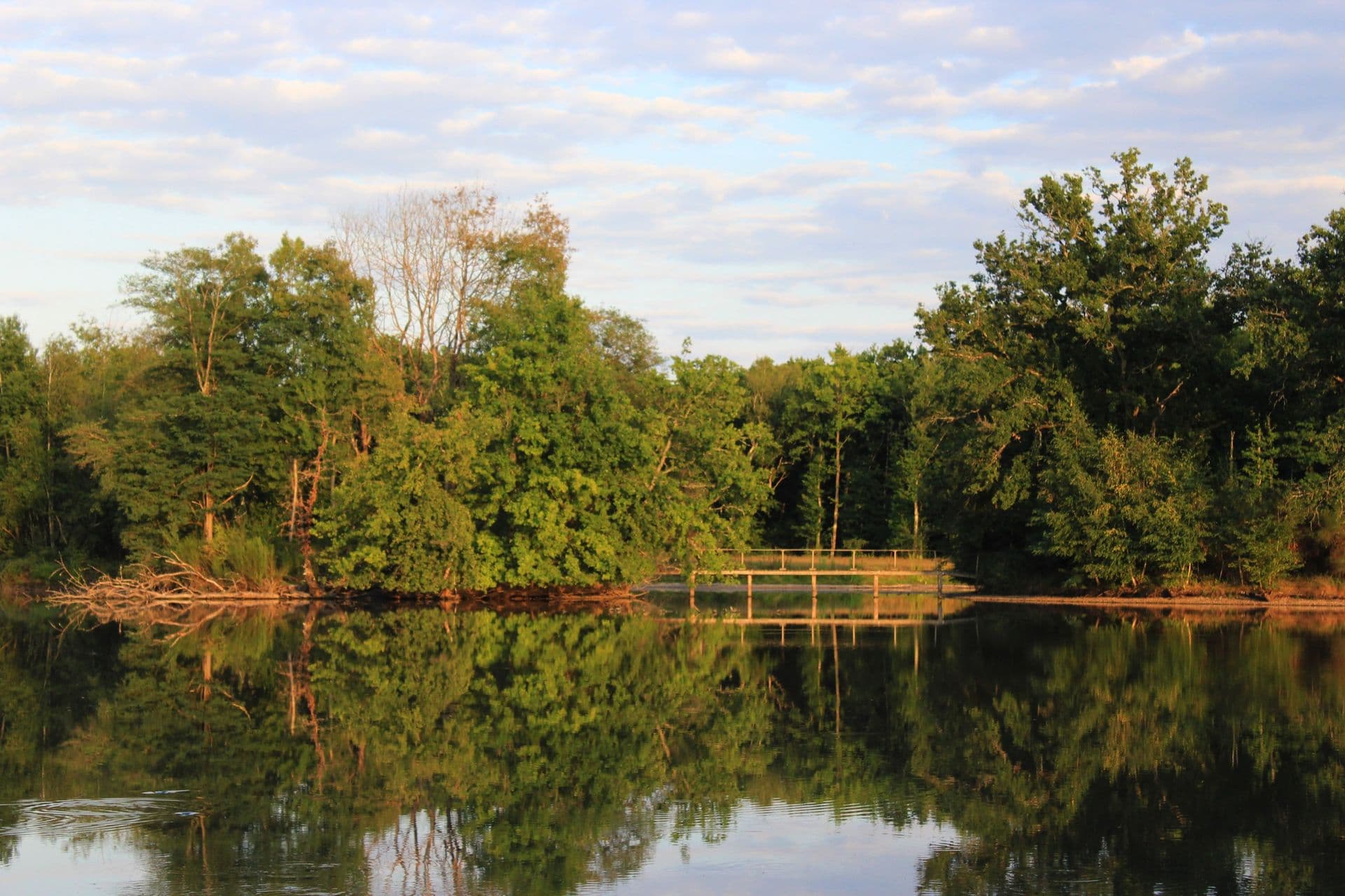 Le Domaine du Grand Nouer 32