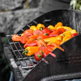 Maître grilleur 6