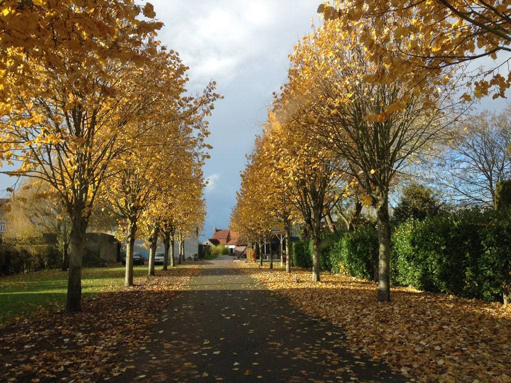 Les jardins d'Ilona 24