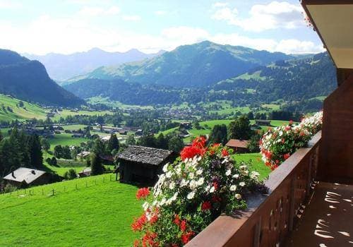 Hotel Le Grand Chalet 8