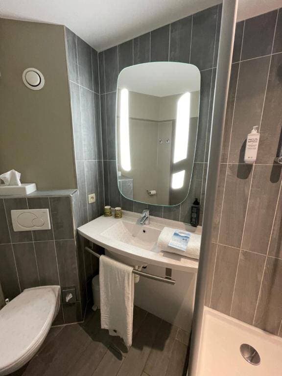 ibis Gent Centrum St. Baafs Kathedraal 13