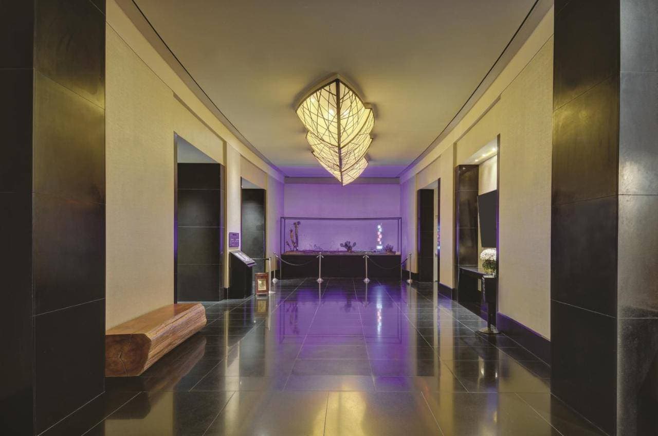 W Las Vegas 13