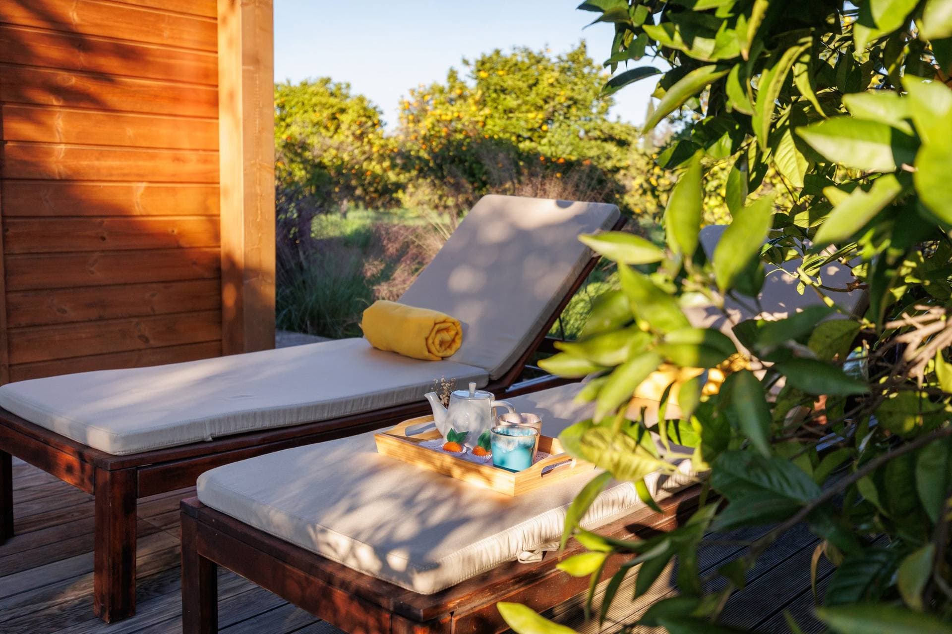 Laranjal Farm House 10