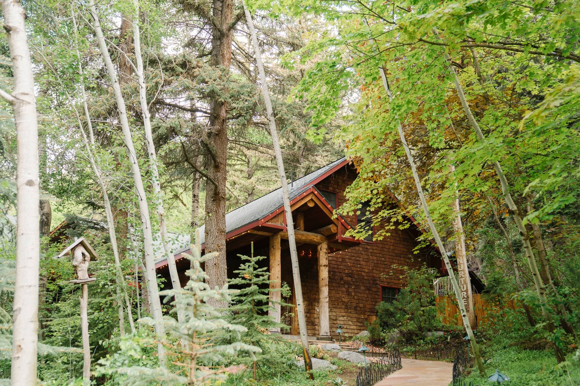 Log Haven 10