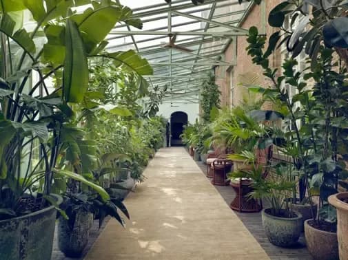 Botanic Sanctuary Antwerp 6