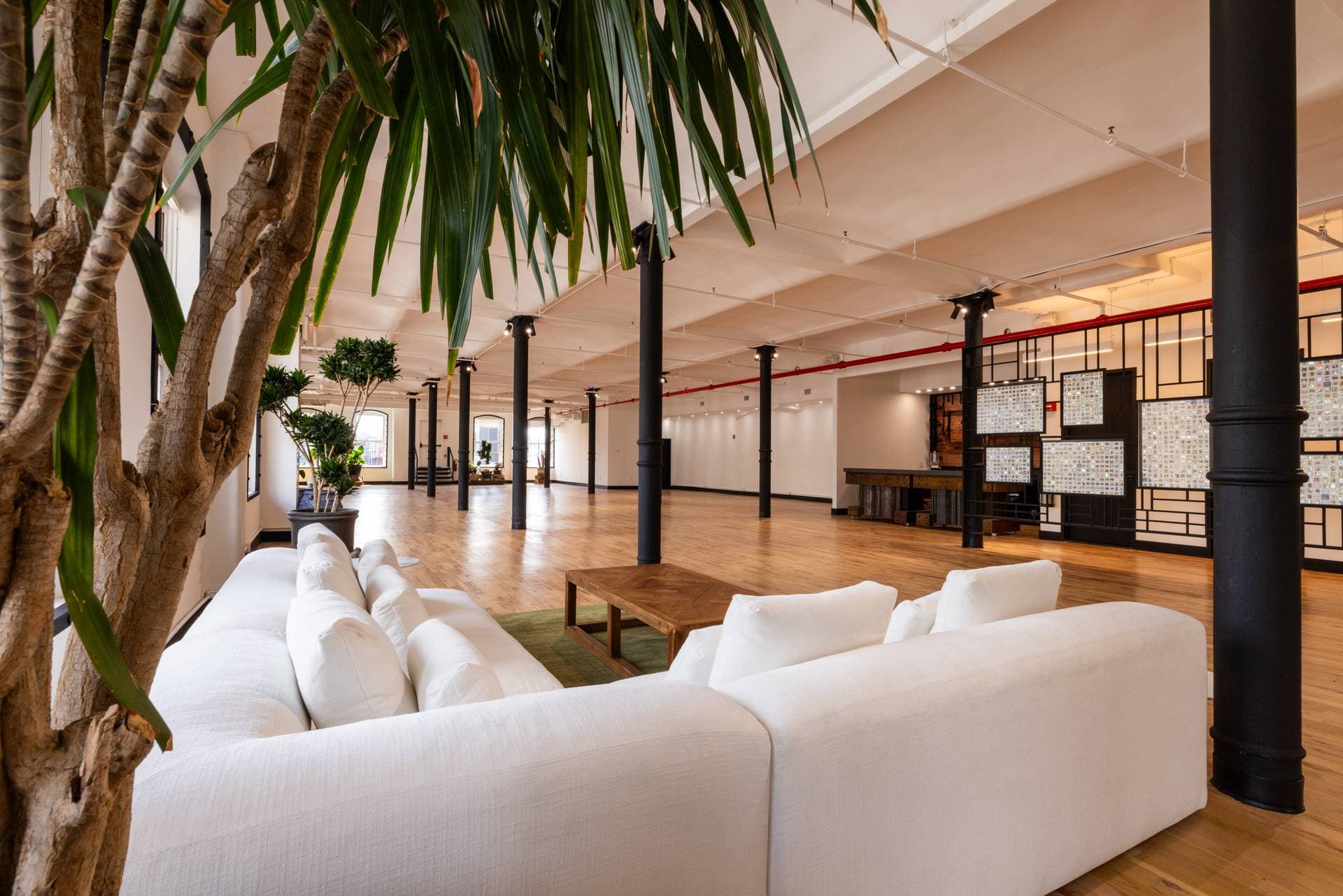 Loft 7 + Rooftop 6