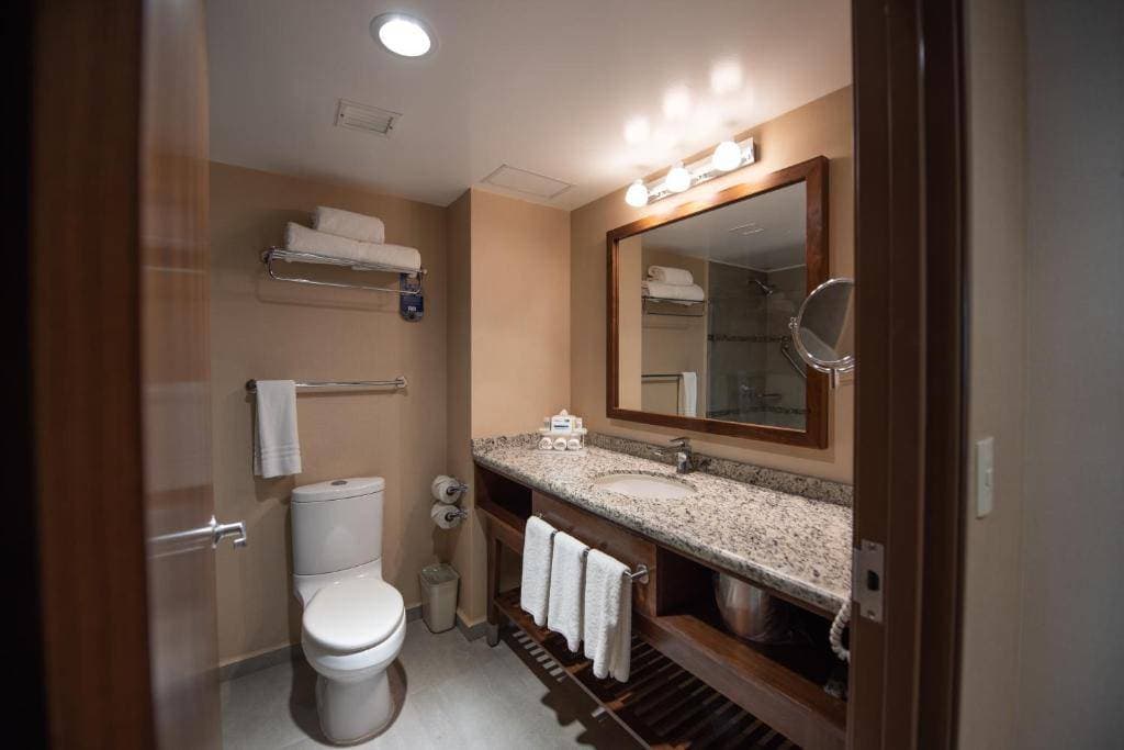Holiday Inn Express Celaya 19