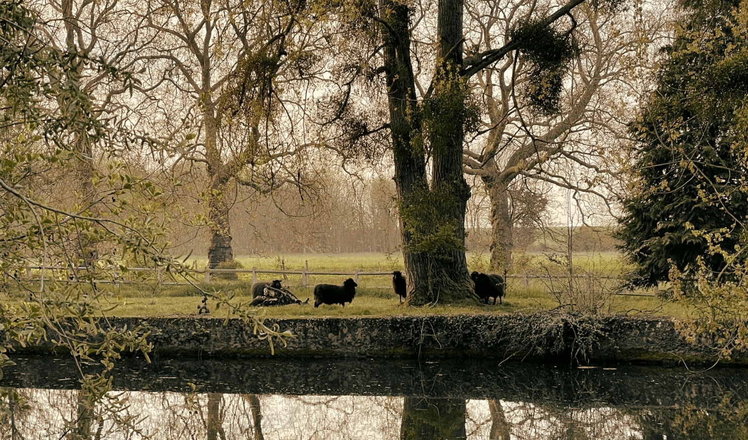 Le moulin de Masson 18