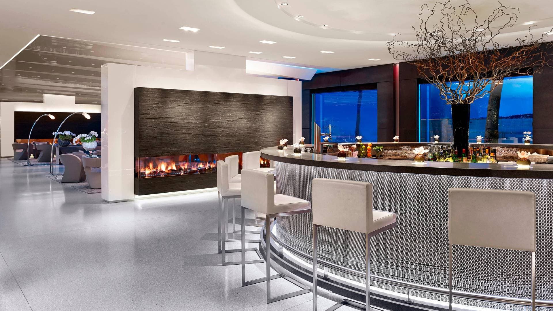 Hôtel President Wilson, a Luxury Collection Hotel 20