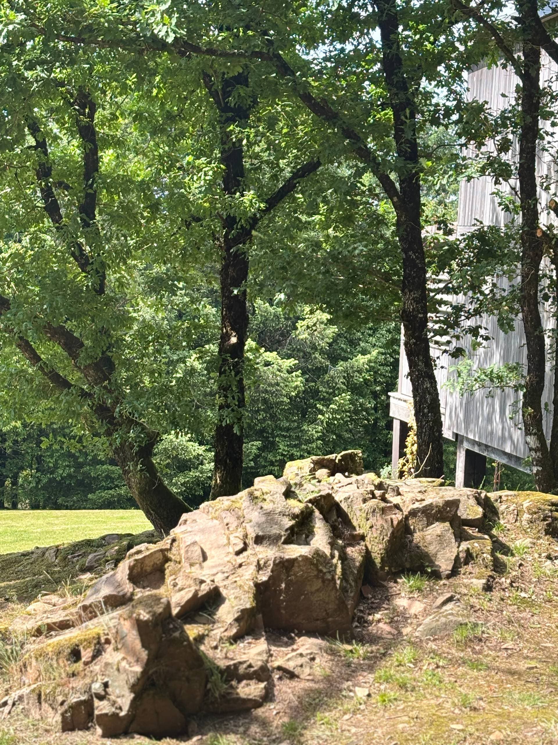 Domaine Spalazen Nature 8