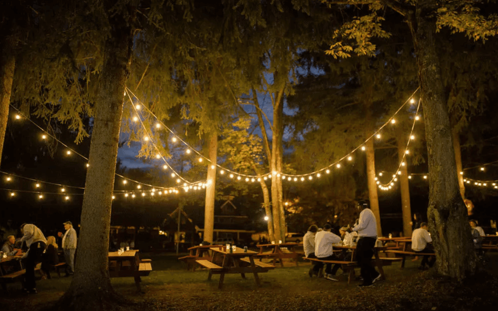 Timber Lake West - Gatheround Events & Retreats 16