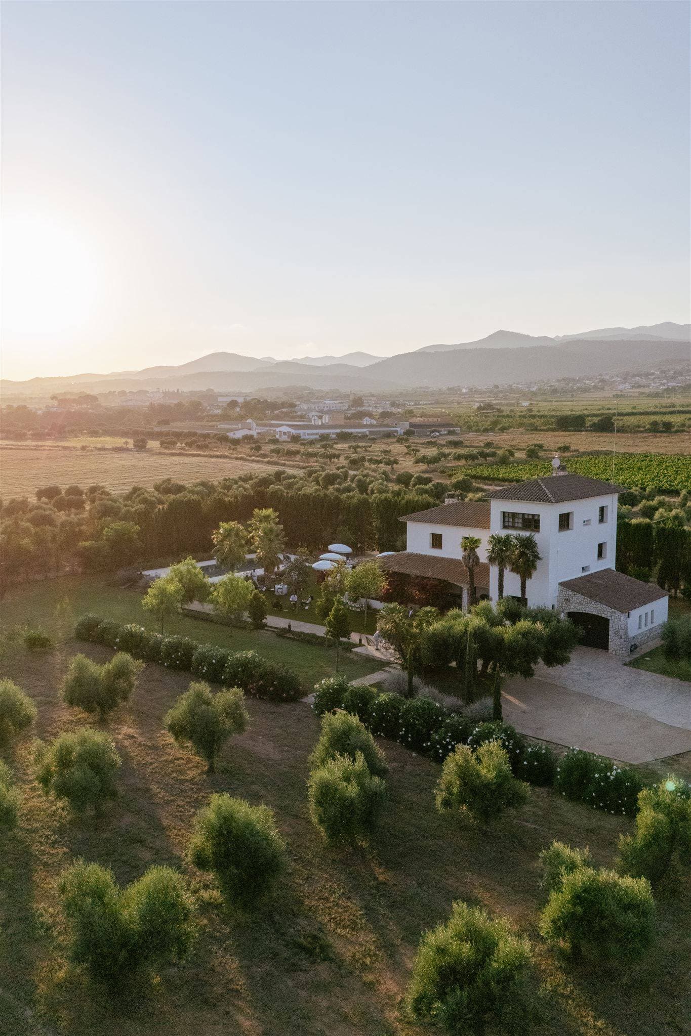 Finca La Concertista 3