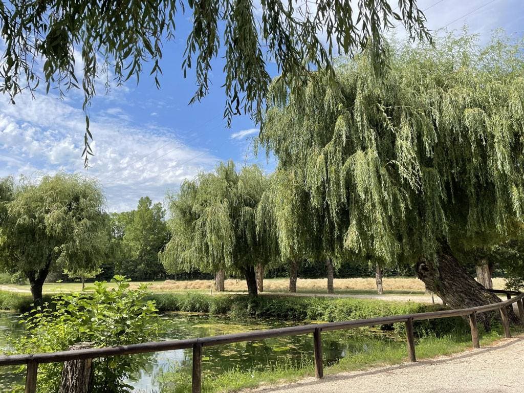 Le Domaine du Grand Lauron 25