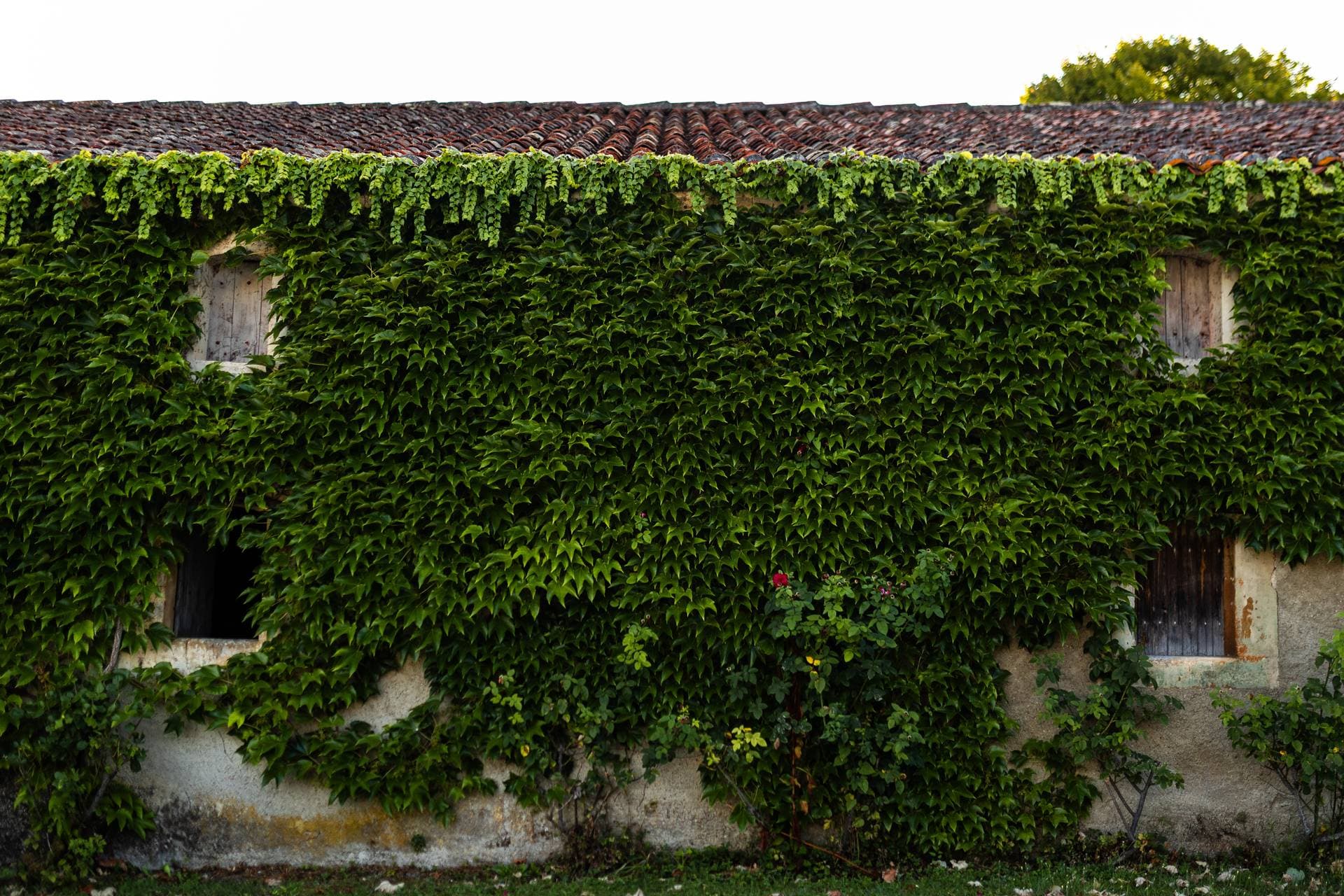 Logis du Paradis 51
