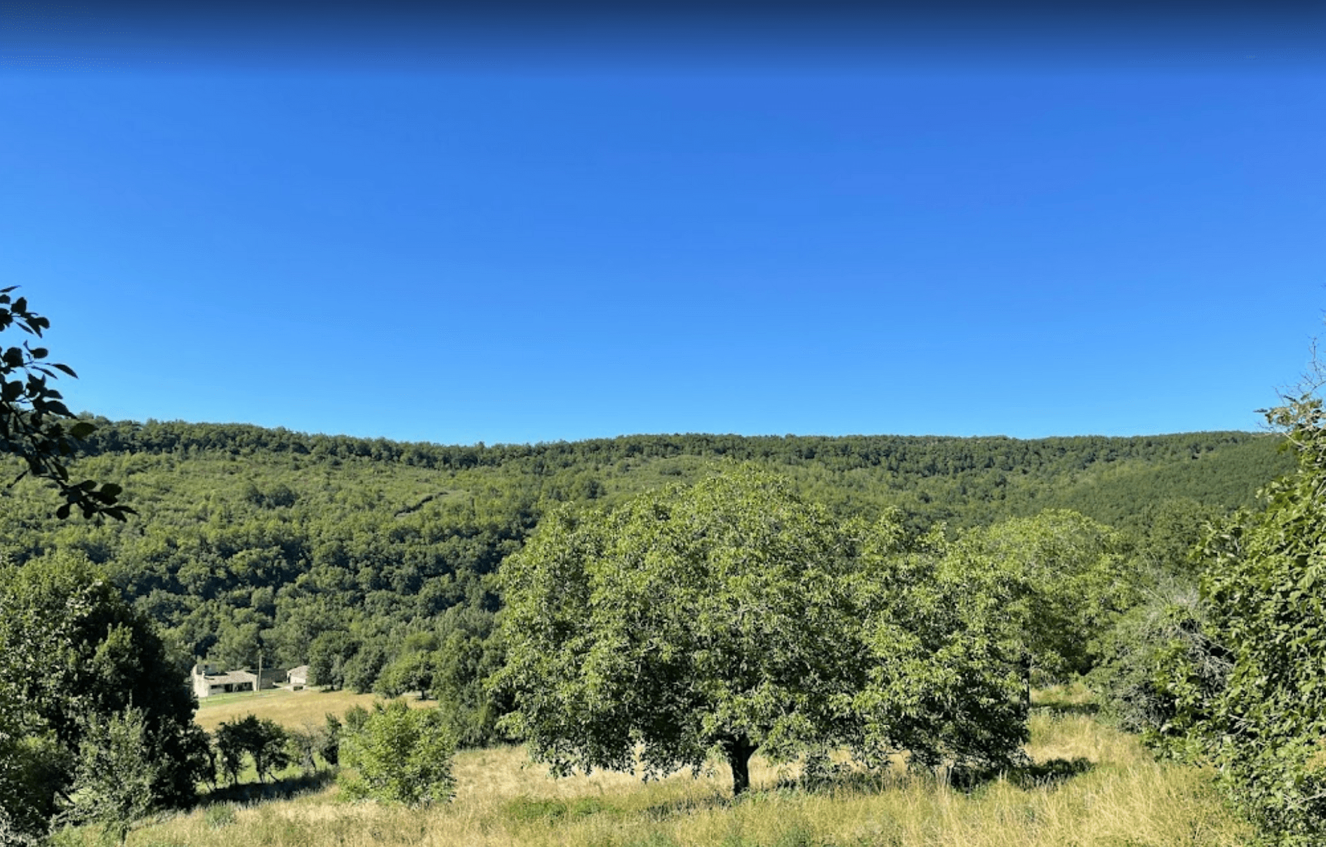 Le domaine de Ferrières-Haut 12