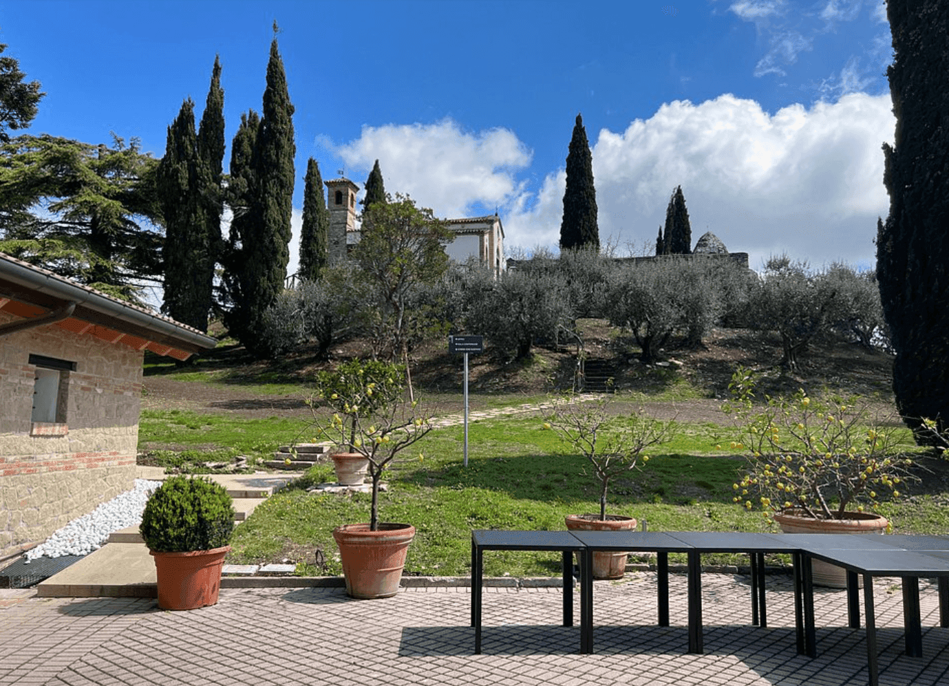 Enoteca Monte Fasolo 6
