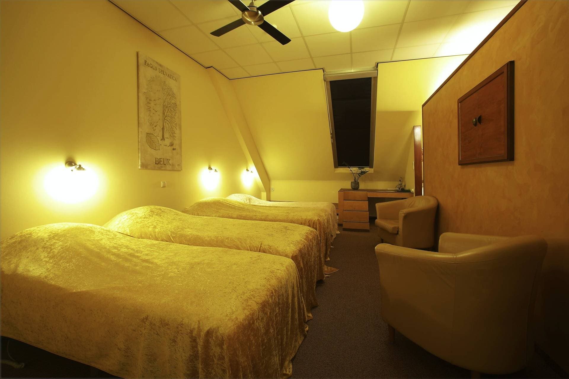 Hotel de Plataan 18