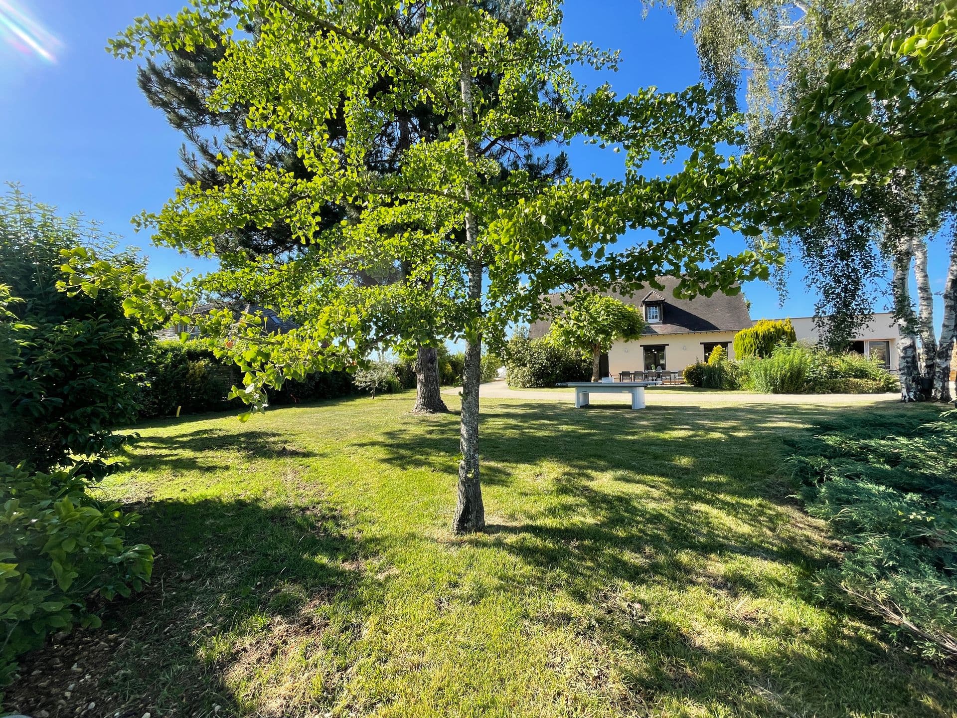 La Villa Paloma 42