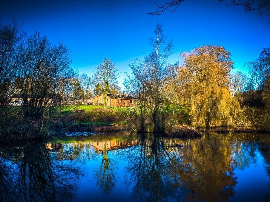 New Forest Lodges 6