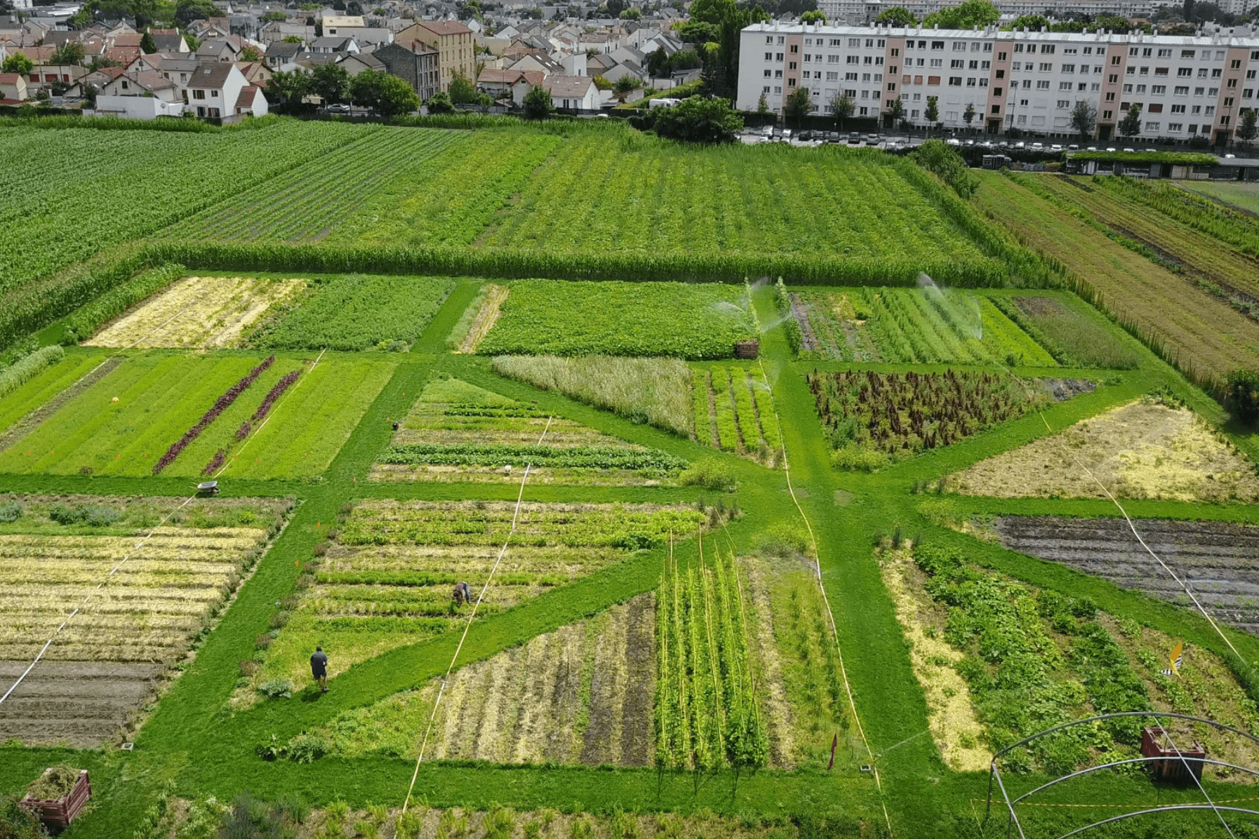 La Ferme de Gally - Saint Denis 22