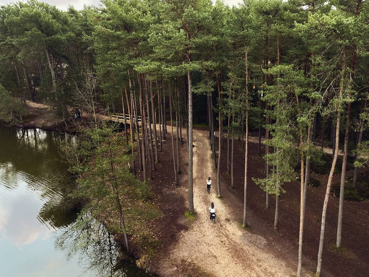 Center Parcs - Domaine Les Hauts de Bruyères 2