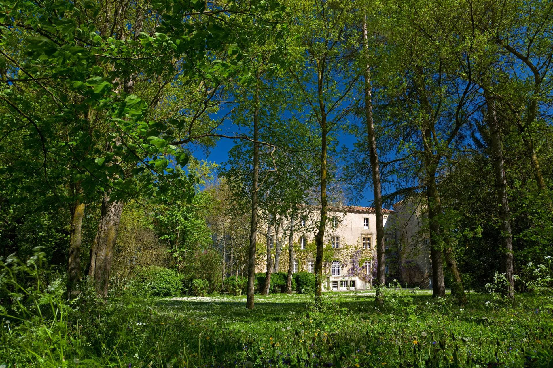 Le château La Commanderie 19