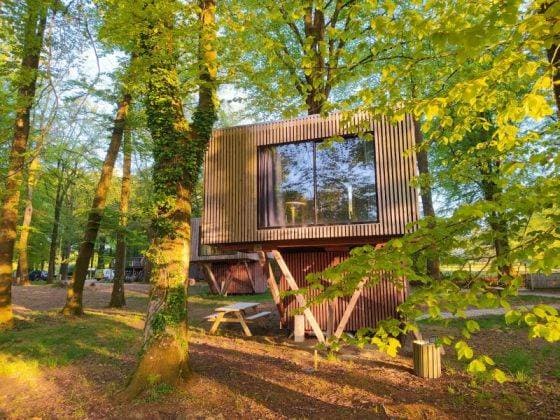 Étape en Forêt 2