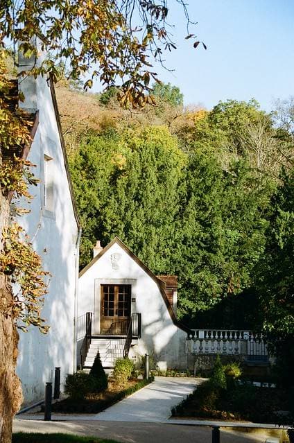 Bellevigne Bourgogne 4