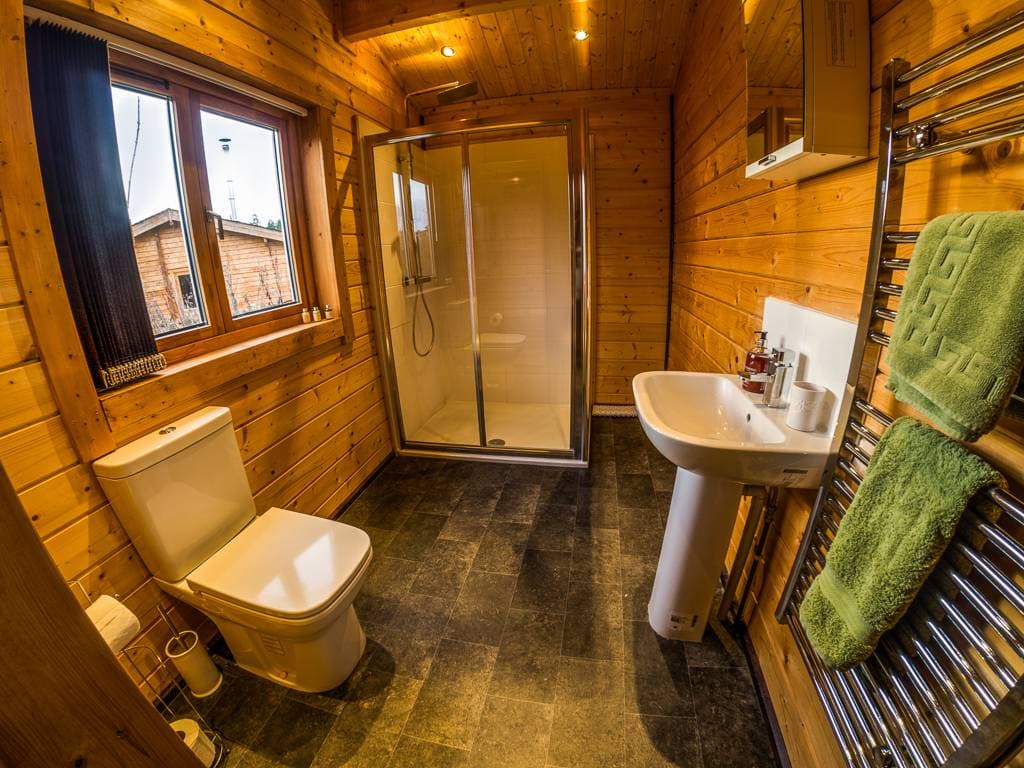 New Forest Lodges 27