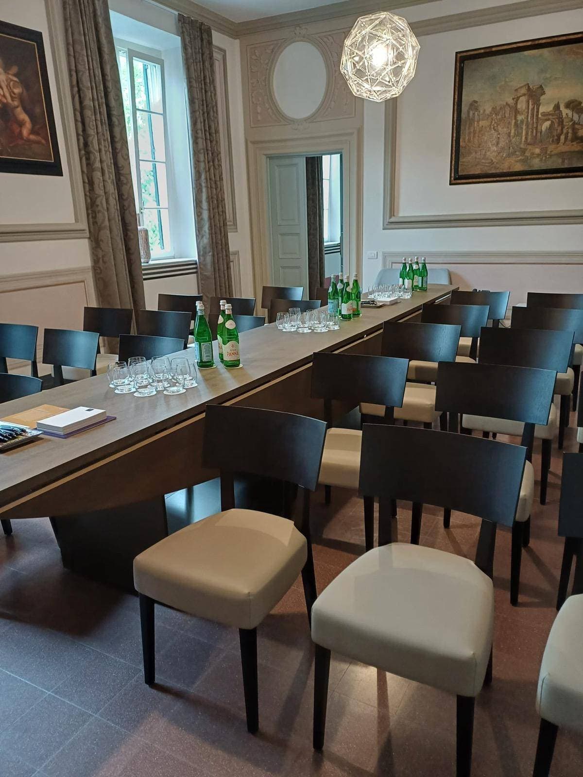 Elisa MTG Room Platea