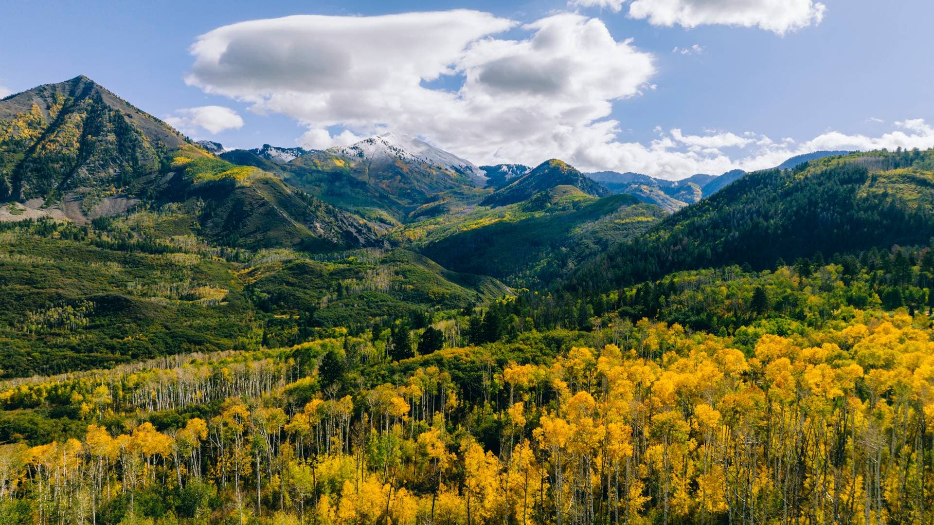 Smith Fork Ranch 10