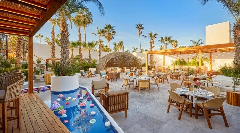 Viceroy Los Cabos 27