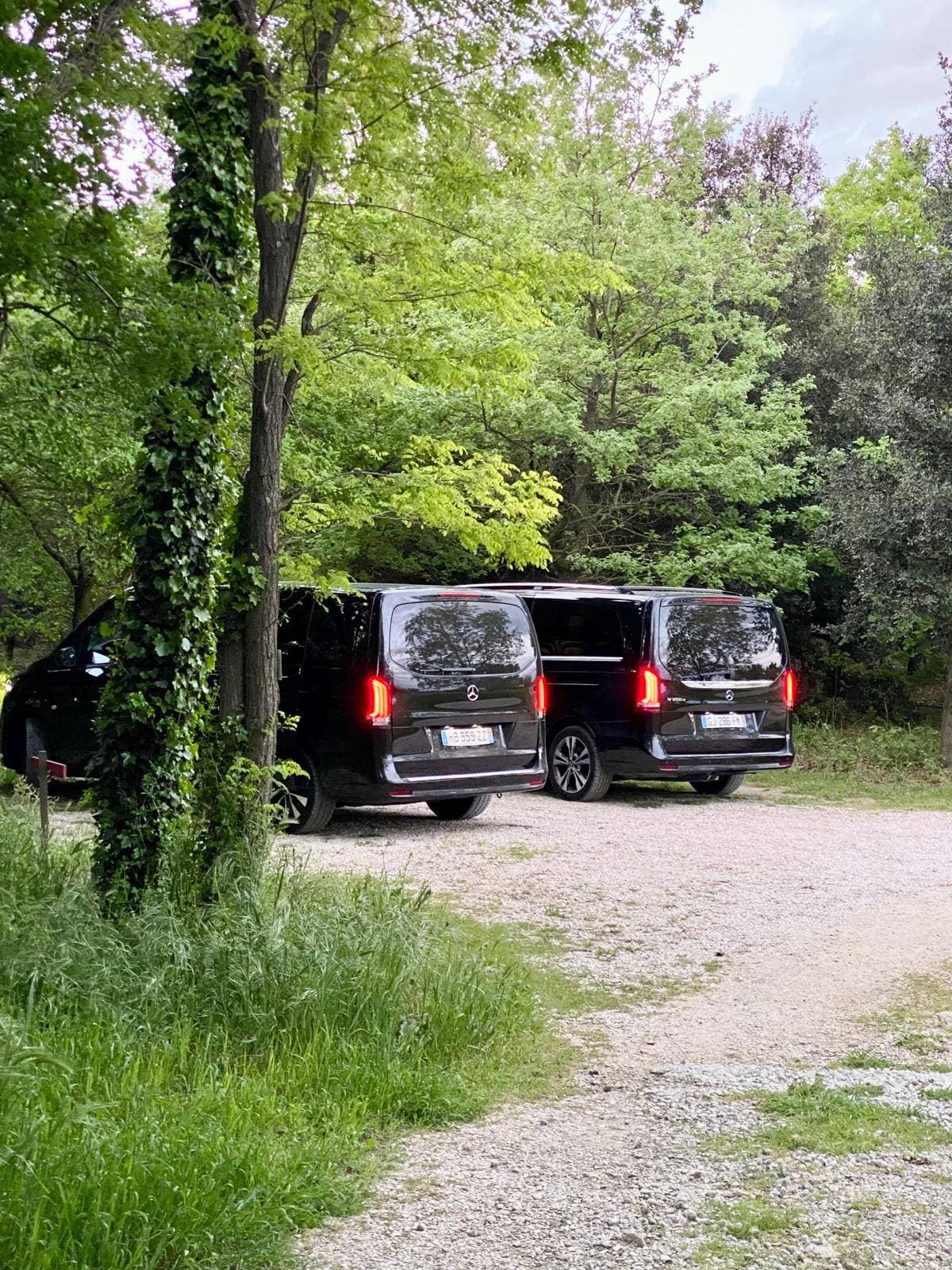 Domaine Arbaud 19